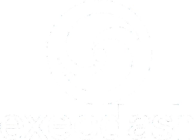ExecDash Logo
